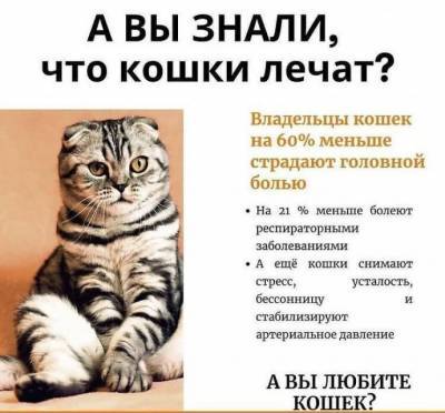 ​Как кошки лечат - polsov.com
