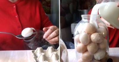 Для чего умудренные опытом хозяйки закатывают яйца в банки - takprosto.cc