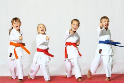 Отдавать ли ребенка в секцию карате? - shkolazhizni.ru