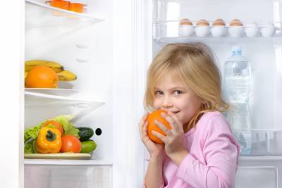 Как люди раньше обходились без холодильников? - shkolazhizni.ru - Греция - Египет - Индия