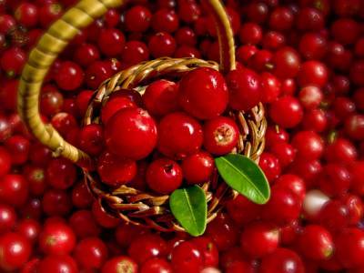 Какие плоды и ягоды помогут улучшить состояние здоровья? - shkolazhizni.ru