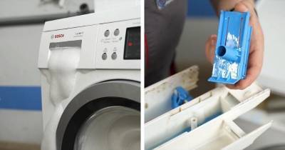 Как НЕ угробить стиральную машину порошком: спасительные советы - cpykami.ru
