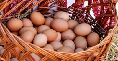 Как долго можно хранить куриные яйца в холодильнике: некоторые склоняются к 3 месяцам - novate.ru