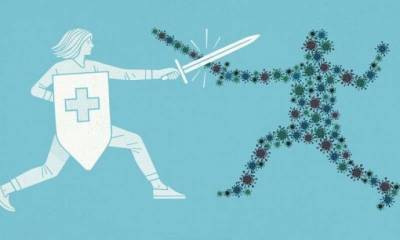​Методы укрепления иммунитета: как повысить сопротивляемость вирусам - polsov.com