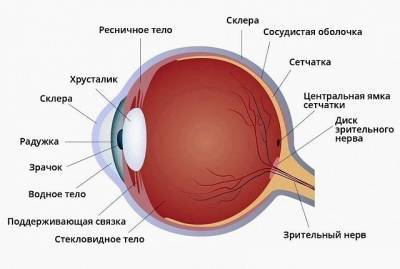 ​Как вернуть зрение без операции - polsov.com