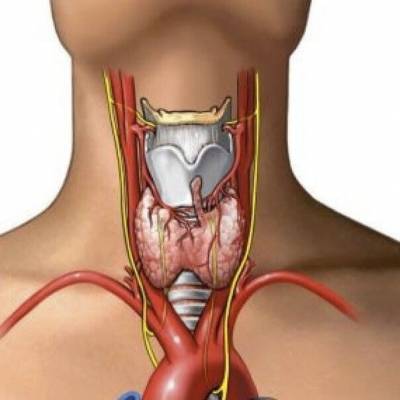 ​Специальная каша, бесконечно благотворно влияющая на щитовидную железy и весь пищеварительный тракт - polsov.com