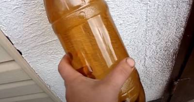 Дачник сделал пугало из пластиковой бутылки, которое птицы облетают десятой дорогой - novate.ru