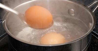 Почему выливать воду, в которой варились яйца - большая ошибка: способы применения - novate.ru