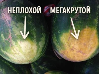 Как выбрать вкусный арбуз. - liveinternet.ru
