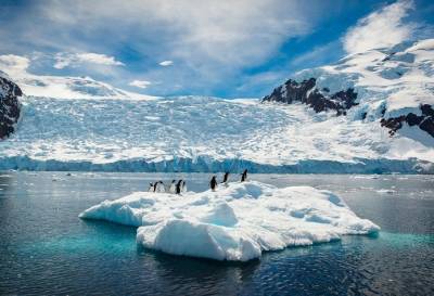 Тест для эрудитов: что вы знаете об Антарктиде? - flytothesky.ru - Россия - Антарктида