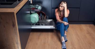 Что нетак? 8 причин плохой работы вашей посудомоечной машины - goodhouse.ru