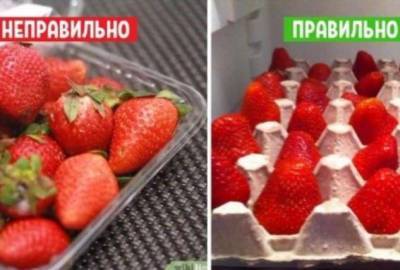 11 хитростей, которые сохранят фрукты и овощи свежими надолго! - liveinternet.ru