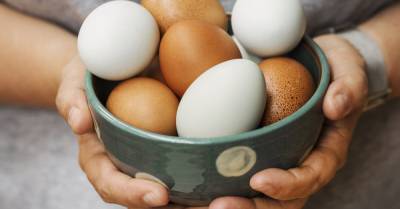 Как проверить свежесть яиц — если они залежались вхолодильнике - goodhouse.ru