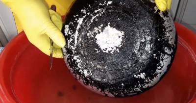 Почему продавец «чистилки» может почистить жирную сковороду от нагара, а покупатель – нет - novate.ru