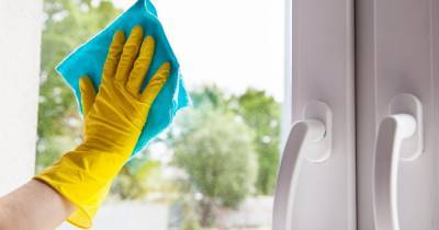 Надежное средство, как отмыть окна в квартире, чтобы на них долго не оседала пыль - novate.ru