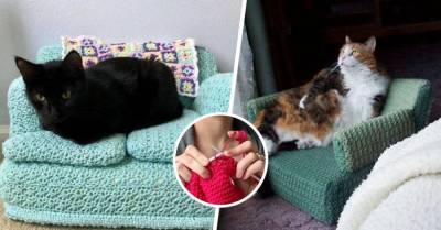 Карантин прошёл с пользой: хозяйки вяжут мини-диванчики и кресла для своих кошек - cpykami.ru