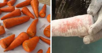 Простой способ сохранить сочную морковь без погреба - cpykami.ru