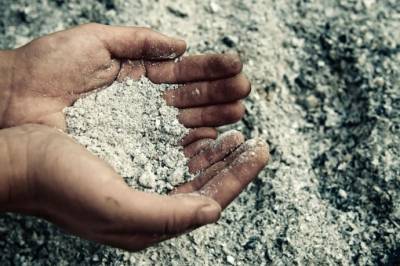 Зола как чудо-помощница и защита от всех огородных напастей - polsov.com