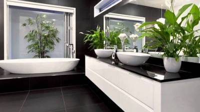 Какие растения посадить в ванной комнате - 1001sovet.com
