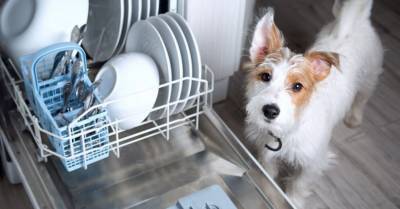 5 способов, как можно увеличить пространство посудомоечной машины - rus.delfi.lv