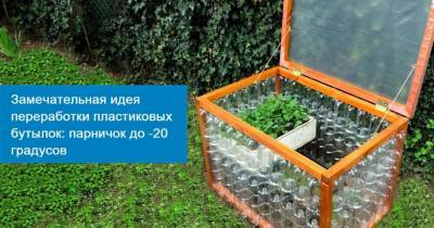 Замечательная идея переработки пластиковых бутылок: парник до -20 градусов - cpykami.ru