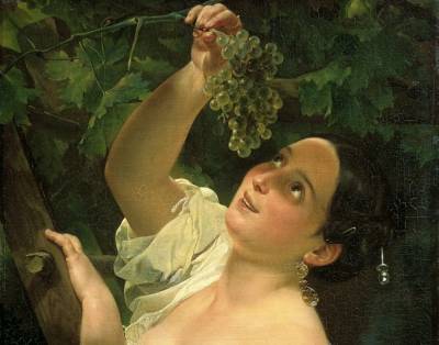 Как вырастить виноград из саженца? - shkolazhizni.ru