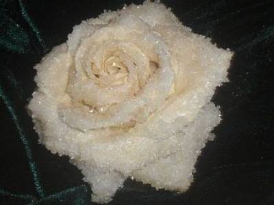 ​Как сделать засахаренную розу - polsov.com