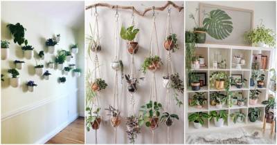15+ великолепных идеи с растениями для маленьких и больших пространств - cpykami.ru