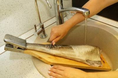4 варианта, как быстро почистить рыбу, чтобы чешуя не летела во все стороны - novate.ru