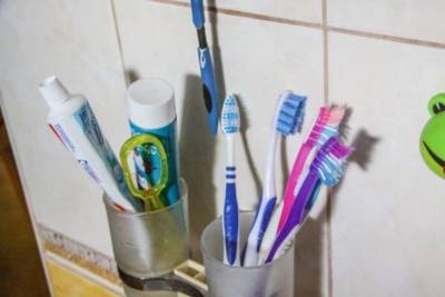 Почему умные хозяйки не выбрасывают старые зубные щетки: вот для чего их используют - belnovosti.by