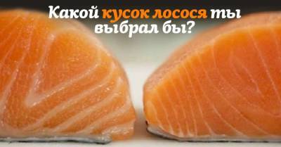 Работала в Польше на заводе красной рыбки, расскажу, какой лосось вкуснее - takprosto.cc - Польша
