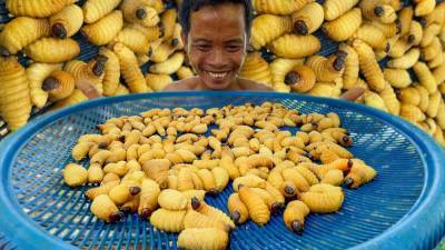 Мужчина ест то, что вам и в страшных снах не приснится - flytothesky.ru - Камбоджа