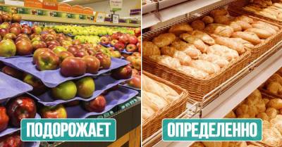 Мы на пике роста цен на продукты, но бесконечность не предел, ждем новых подорожаний - takprosto.cc - Россия - Украина - Белоруссия