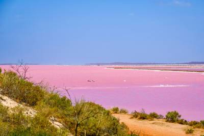 Как создать на подоконнике австралийский пейзаж с розовым озером? - shkolazhizni.ru - Австралия