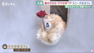В Японии открыли кафе, где заказы выдает медвежья лапа - flytothesky.ru - Япония