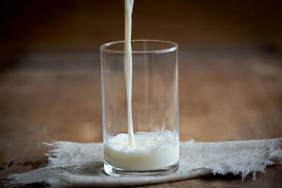 Какое молоко бывает в природе? Пять удивительных фактов - shkolazhizni.ru