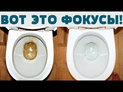 >Эффективное средство для чистки унитаза из стирального порошка, которое отлично работает - liveinternet.ru