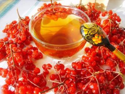 Калина с медом-лучшее лекарство - polsov.com