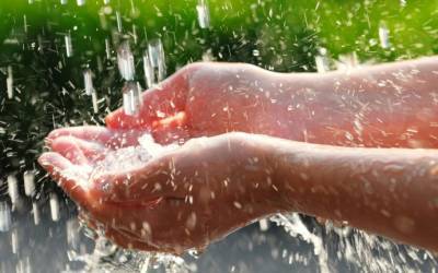 ​Лечебные свойства дождевой воды - polsov.com
