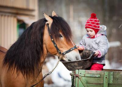 Что ты ржёшь, мой конь ретивый?.. Древняя символика лошади - shkolazhizni.ru