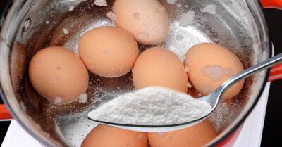 Хозяйка со стажем рассказала, что нужно добавить в воду при варке свежих яиц, чтобы потом не маяться с очисткой - takprosto.cc