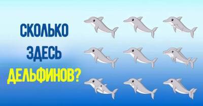 Лишь истинные умники смогут пройти дельфиний тест на внимательность, сосчитав все спрятанные особи - takprosto.cc