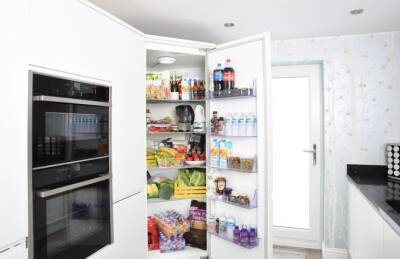 3 предмета, которые стоит класть в холодильник: не только продукты - belnovosti.by