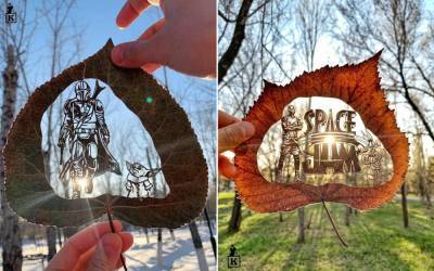 Художник дает опавшим листьям вторую жизнь, вырезая на них рисунки - flytothesky.ru - Казахстан