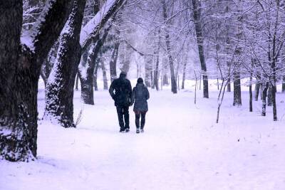 Чем привлекает ходьба зимой? - shkolazhizni.ru
