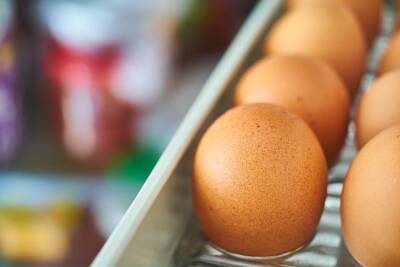 Как нельзя закладывать яйца в холодильник: многие хозяйки допускают вопиющую ошибку - belnovosti.by