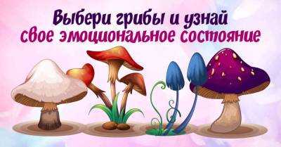 Выбери гриб, чтобы немедленно узнать свое эмоциональное состояние - takprosto.cc