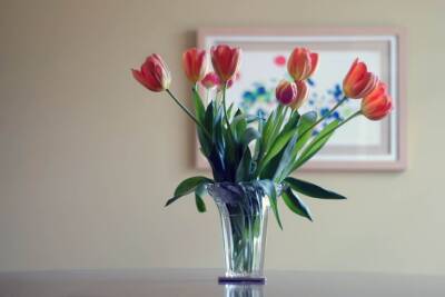 Продлить жизнь цветам в два раза: что сделать с букетом перед тем, как поставить его в вазу - belnovosti.by