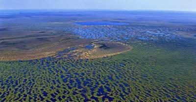Оказывается, самое обширное болото на планете находится в России - takprosto.cc - Россия - Швейцария