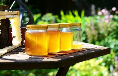 Как отличить натуральный мед от подделки: 4 простых способа - belnovosti.by